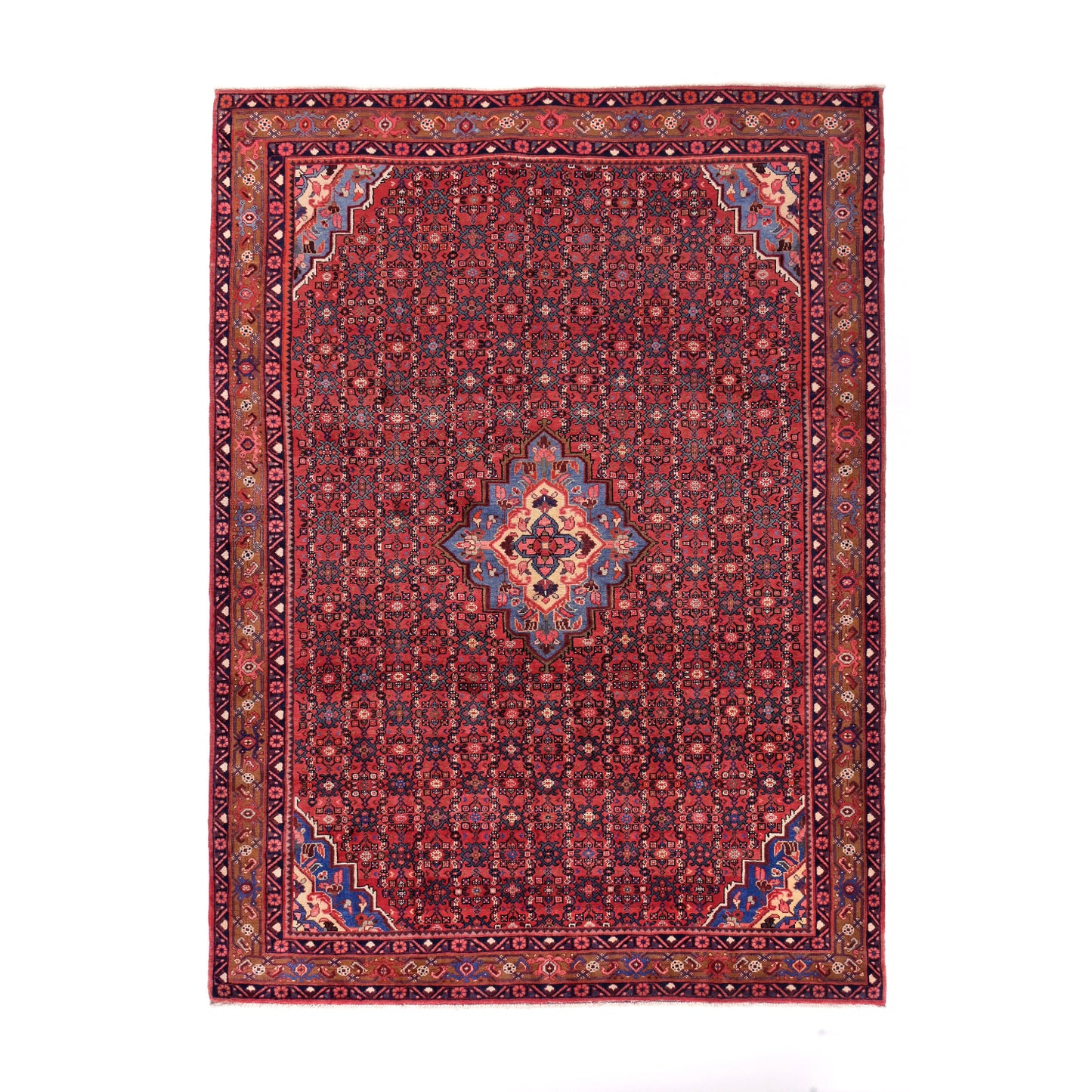 Tappeto Hosseinabad 307 X 221 CM