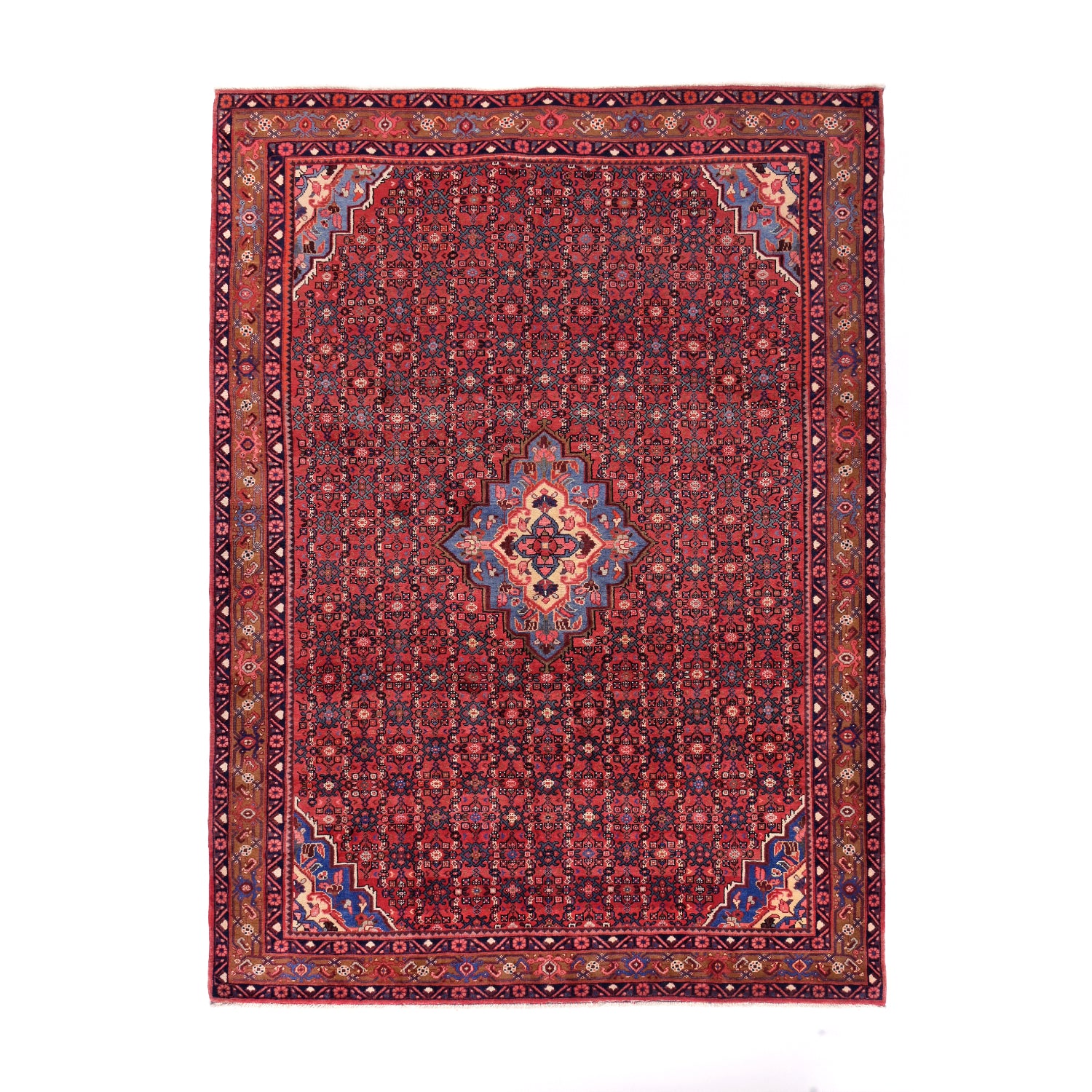 Tappeto Hosseinabad 307 X 221 CM