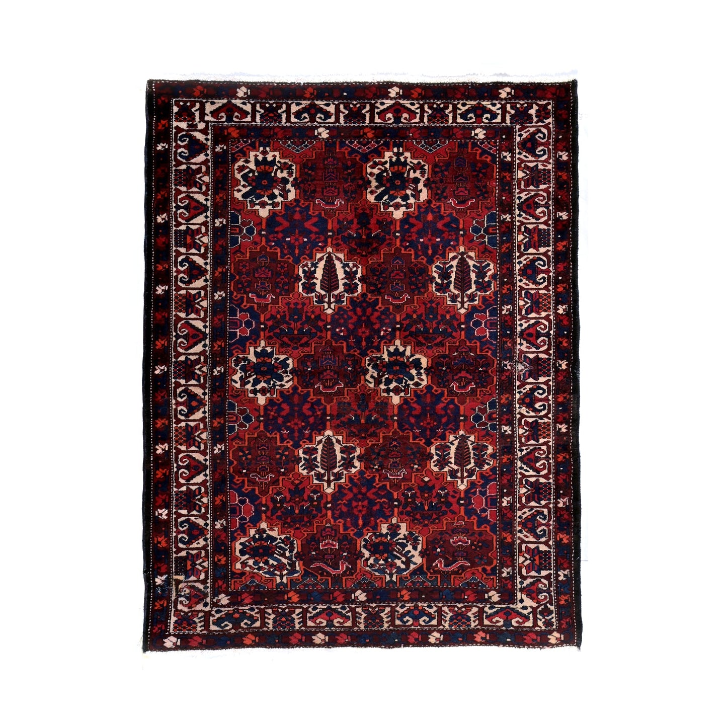 Tappeto Bakhtiari 214 X 165 cm