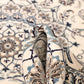 Tappeto Nain 250 x 200 cm
